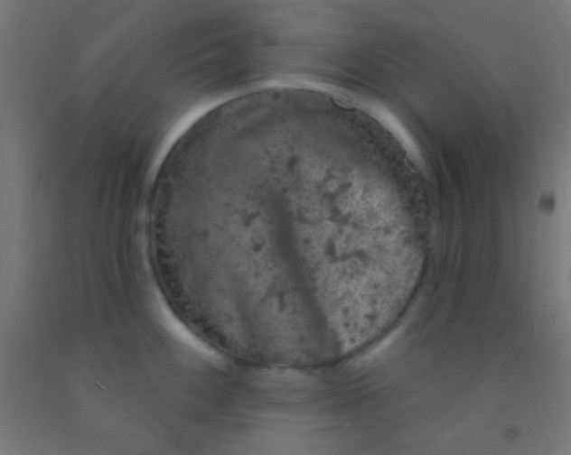 X0000092011100200709271524