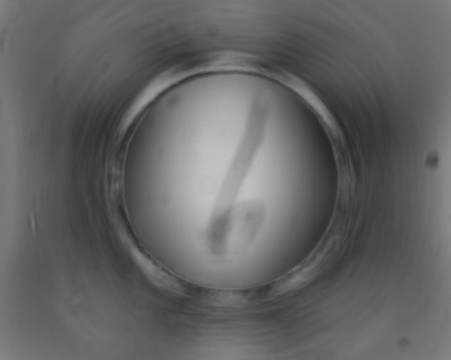 X0000092011101200709271524