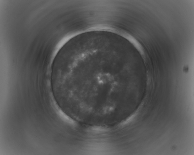 X0000092011102200709271524