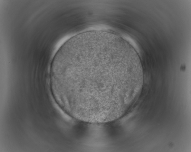 X0000092011103200709271524