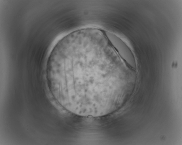 X0000092011104200709271524