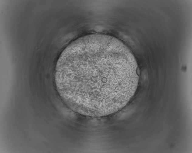 X0000092011105200709271523