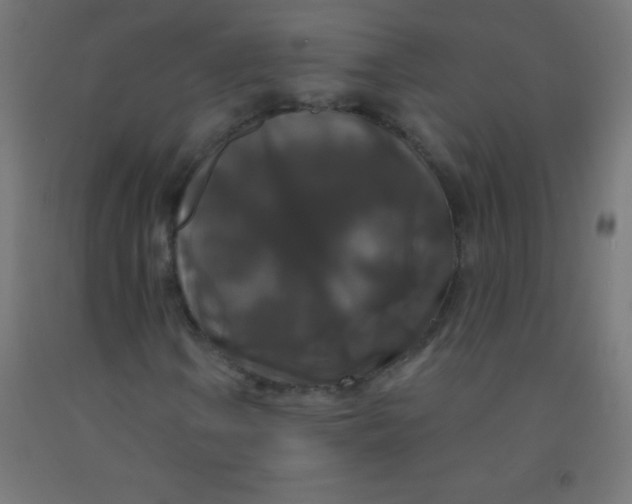 X0000092011106200709271523