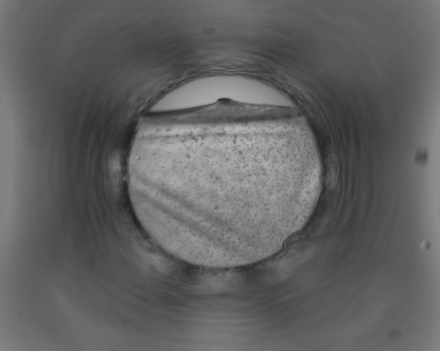 X0000092011108200709271523