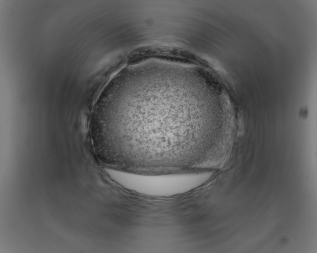 X0000092011110200709271523