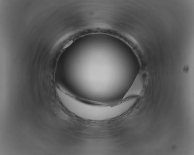 X0000092011112200709271523