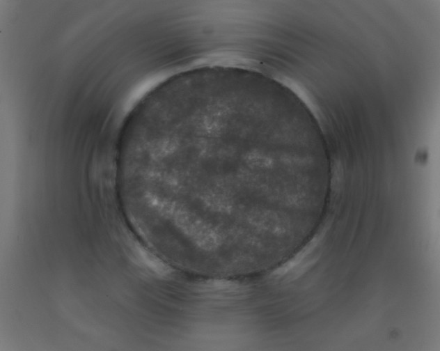 X0000092011115200709271523