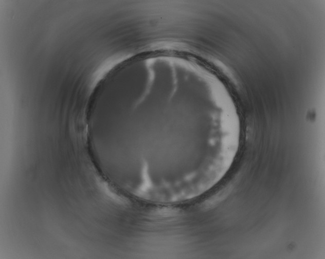 X0000092011117200709271523