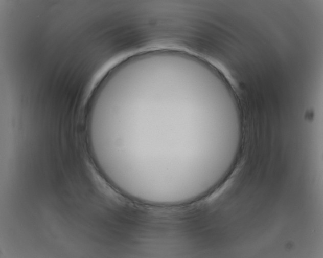 X0000092011118200709271523