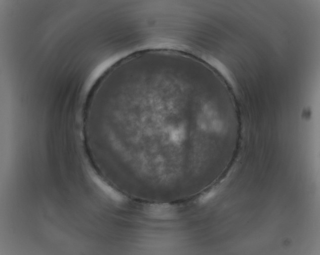 X0000092011120200709271523