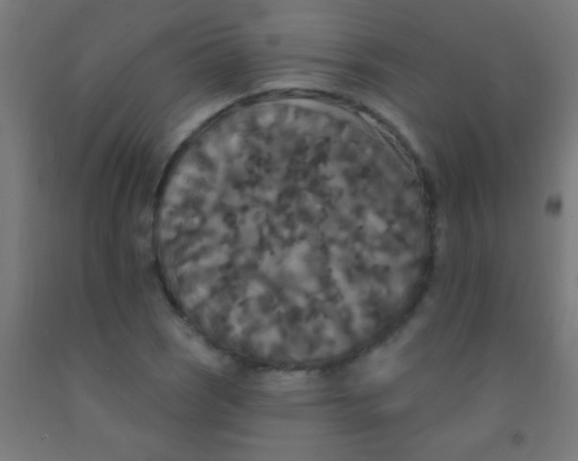 X0000092011121200709271523