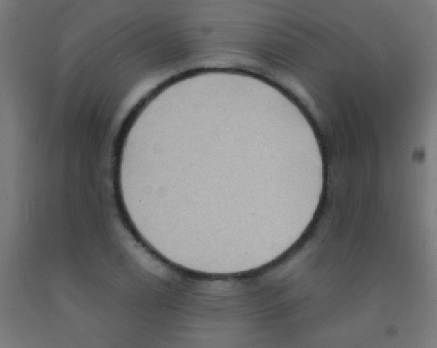 X0000092011122200709271523