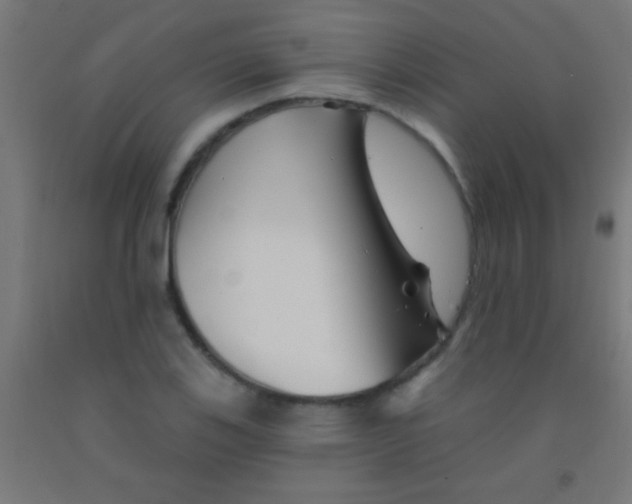 X0000092011123200709271523