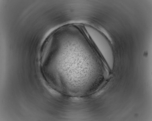 X0000092011124200709271523