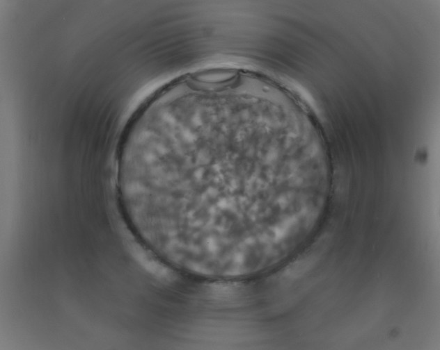 X0000092011125200709271523