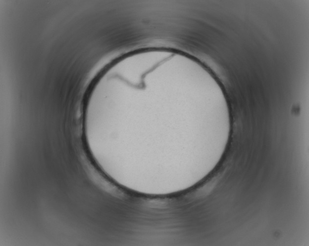 X0000092011126200709271523