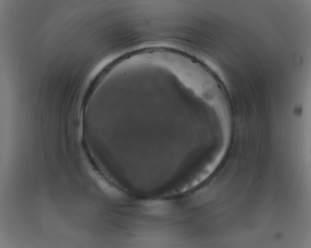 X0000092011127200709271523