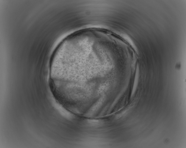 X0000092011132200709271523