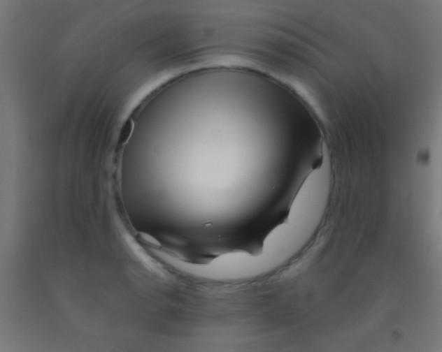 X0000092011134200709271523