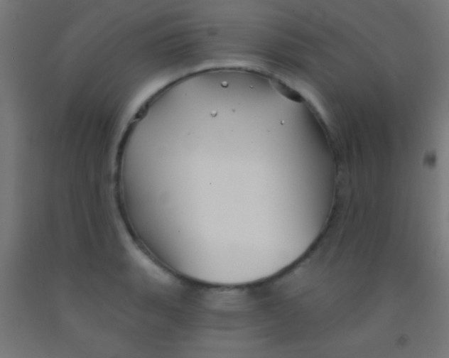 X0000092011135200709271523