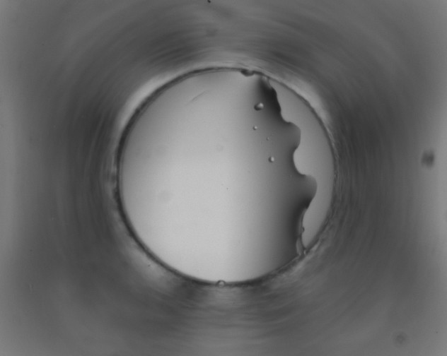 X0000092011136200709271523