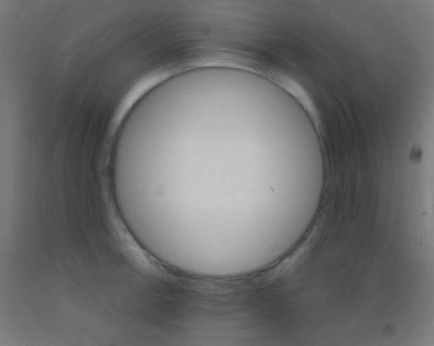 X0000092011138200709271523