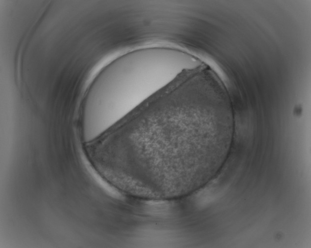 X0000092011142200709271523