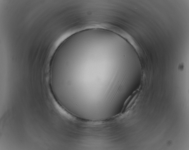 X0000092011143200709271523