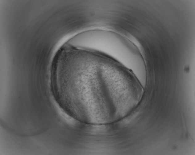 X0000092011144200709271523