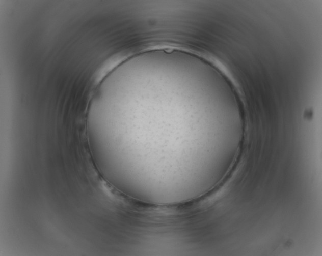 X0000092011145200709271524