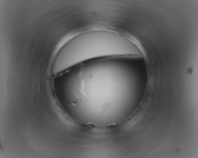 X0000092011146200709271524