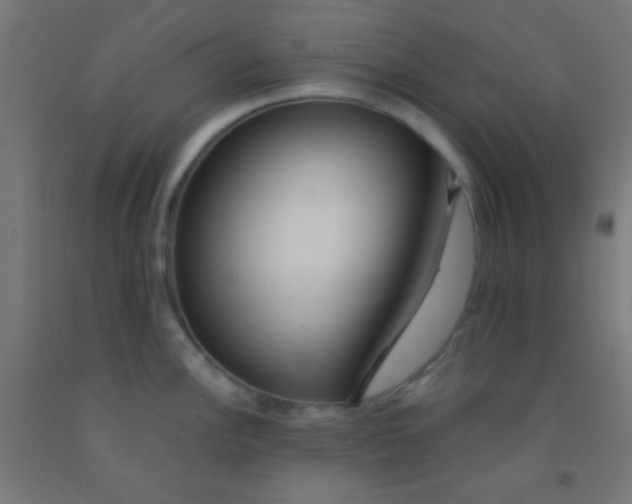 X0000092011148200709271524