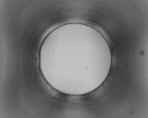 X0000092011150200709271524