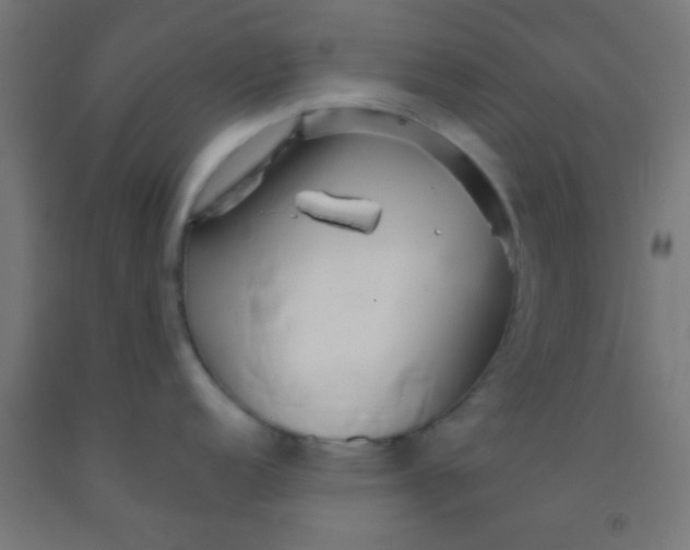 X0000092011152200709271524