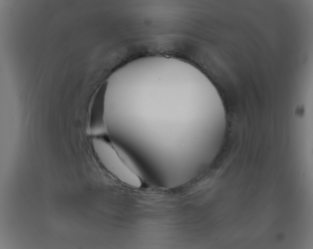 X0000092011153200709271523