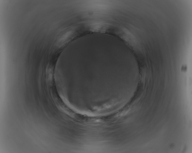 X0000092011154200709271523