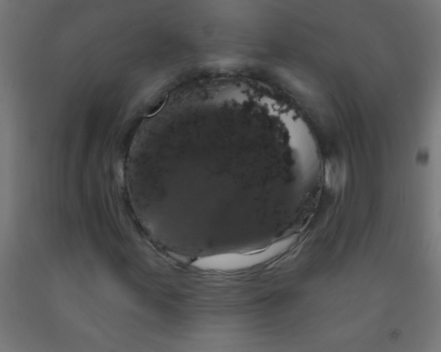 X0000092011155200709271523