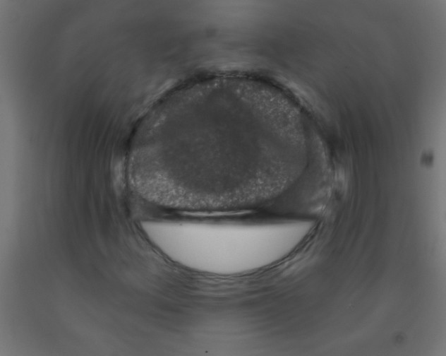 X0000092011156200709271523