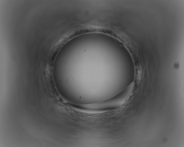 X0000092011157200709271523