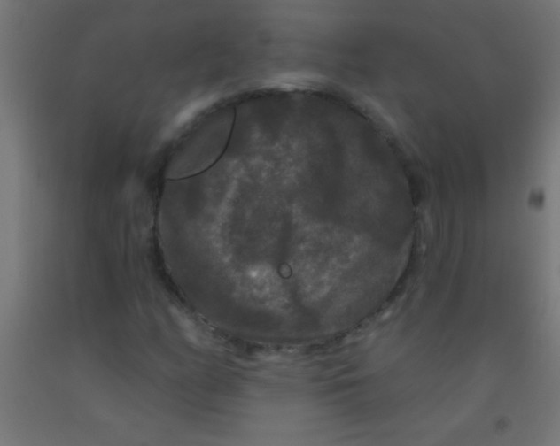 X0000092011158200709271523