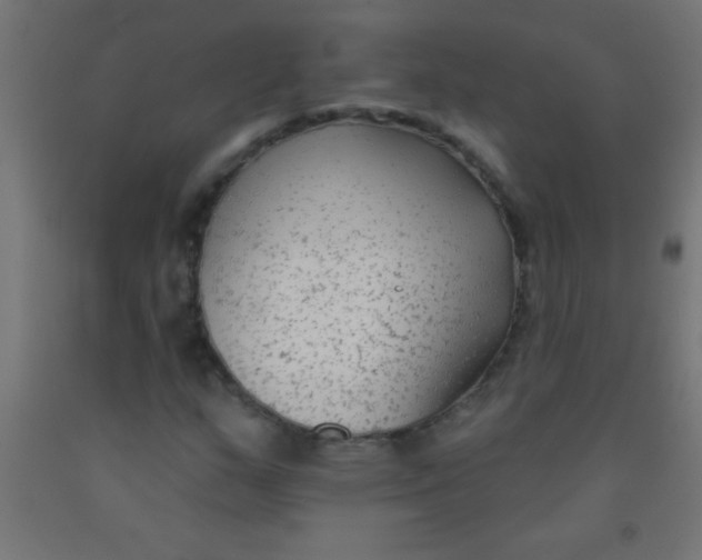 X0000092011159200709271523