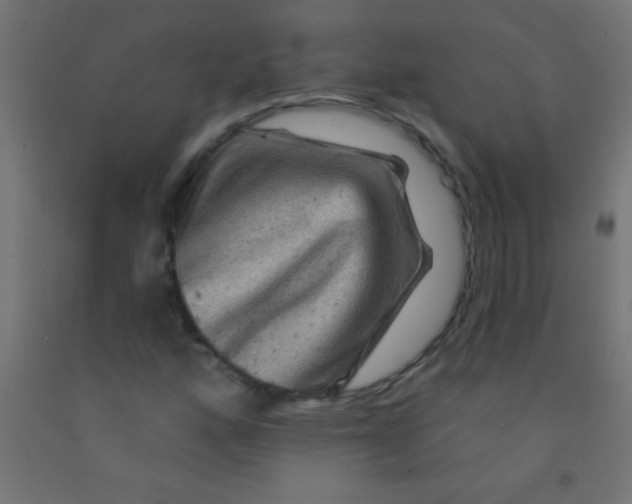 X0000092011160200709271523