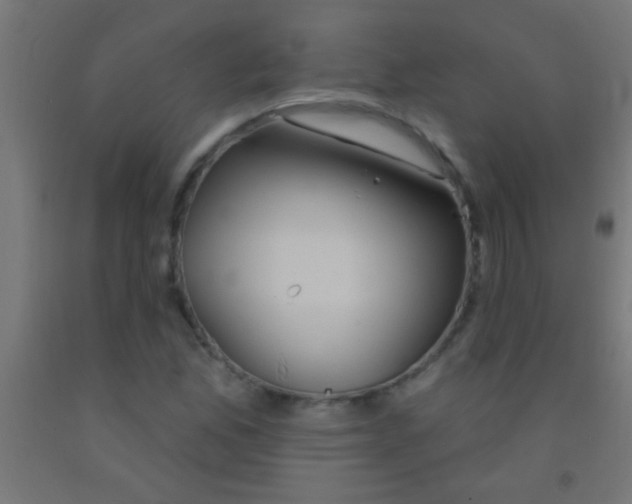 X0000092011165200709271523