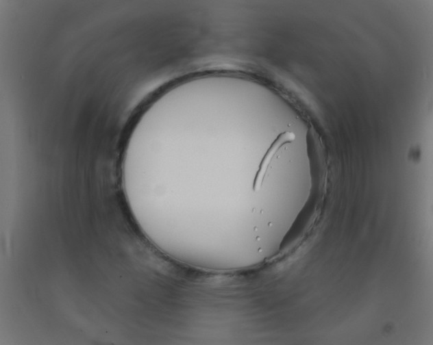 X0000092011166200709271523