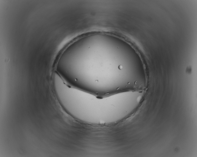 X0000092011168200709271523