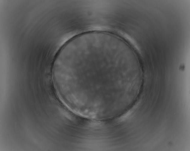 X0000092011170200709271523