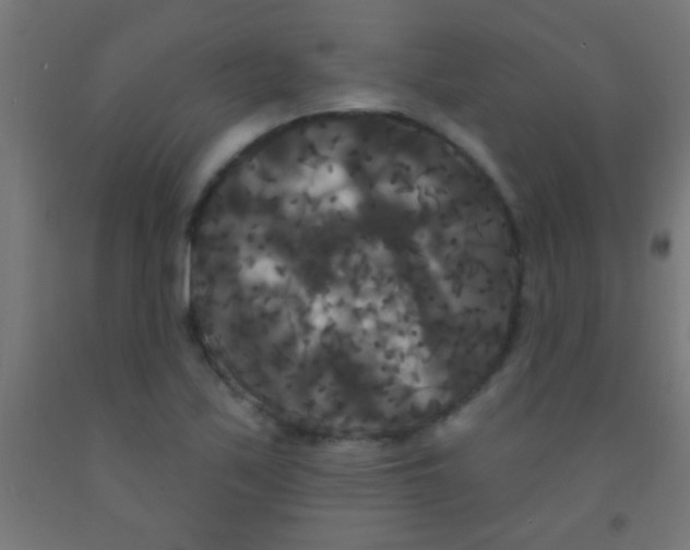 X0000092011171200709271523