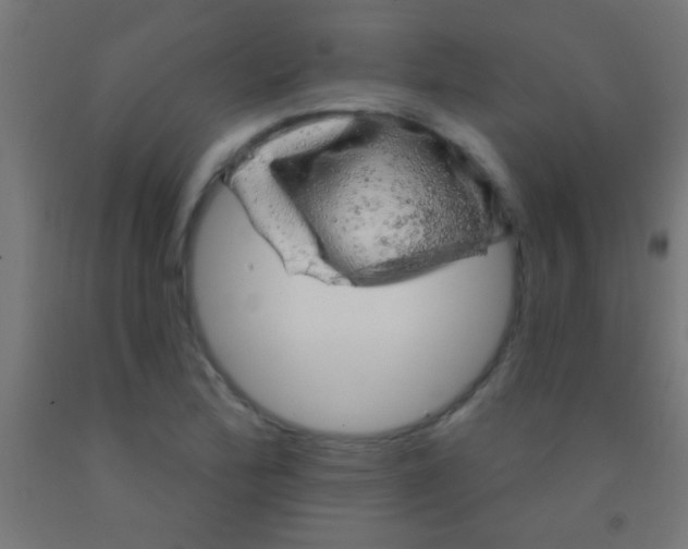 X0000092011172200709271523