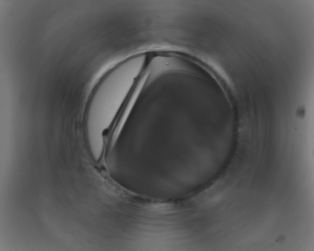 X0000092011173200709271523