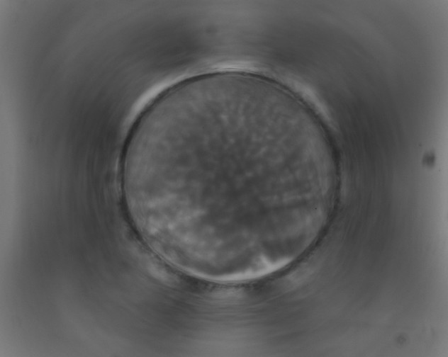 X0000092011174200709271523